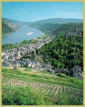 Rheinpanorama (Größe 25 KB)